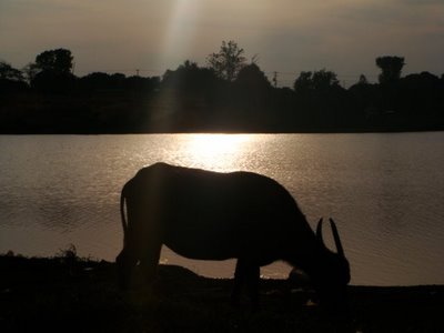 Stung Treng